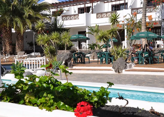 Tulipanes Puerto del Carmen (Lanzarote)