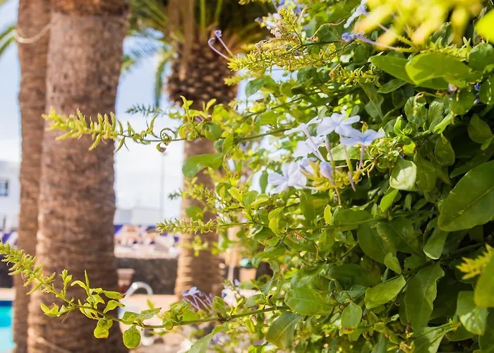 شقة فندقية Tulipanes بويرتو ذيل كارمين